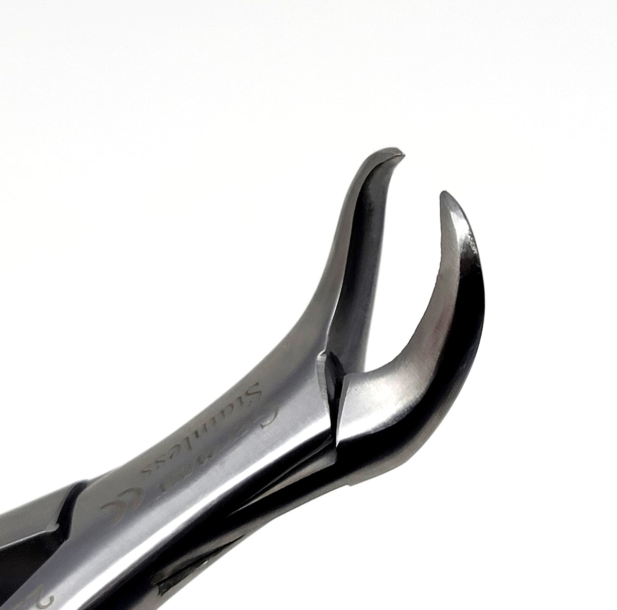 Dental Extracting Forceps #23 with Cow Horn Beaks, Stainless Steel