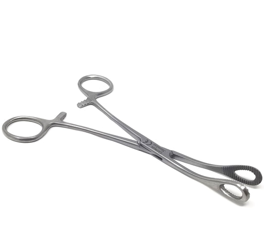 Sponge Holding Forceps 7" Curved, Stainless Steel