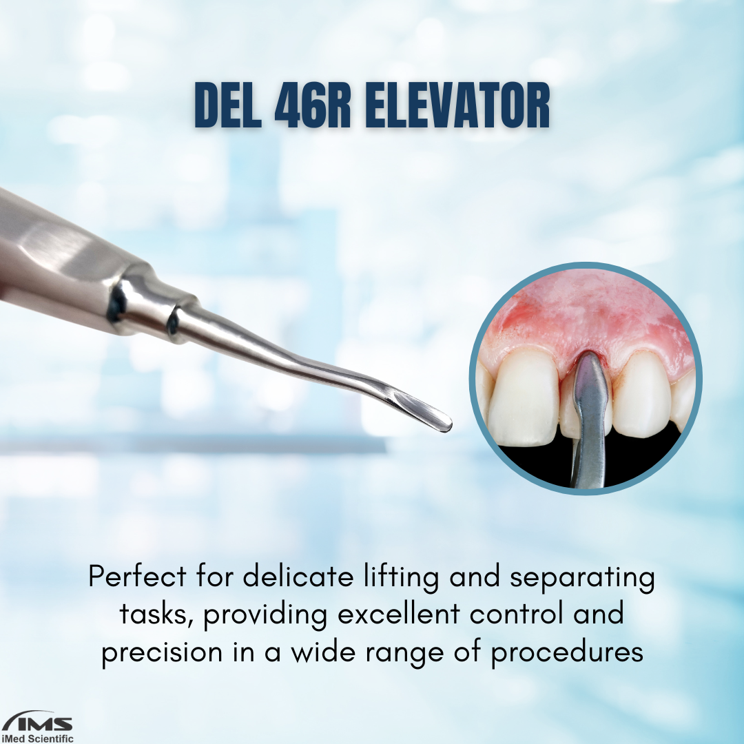 Apical Root Dental Elevator DEL-46R, Stainless Steel