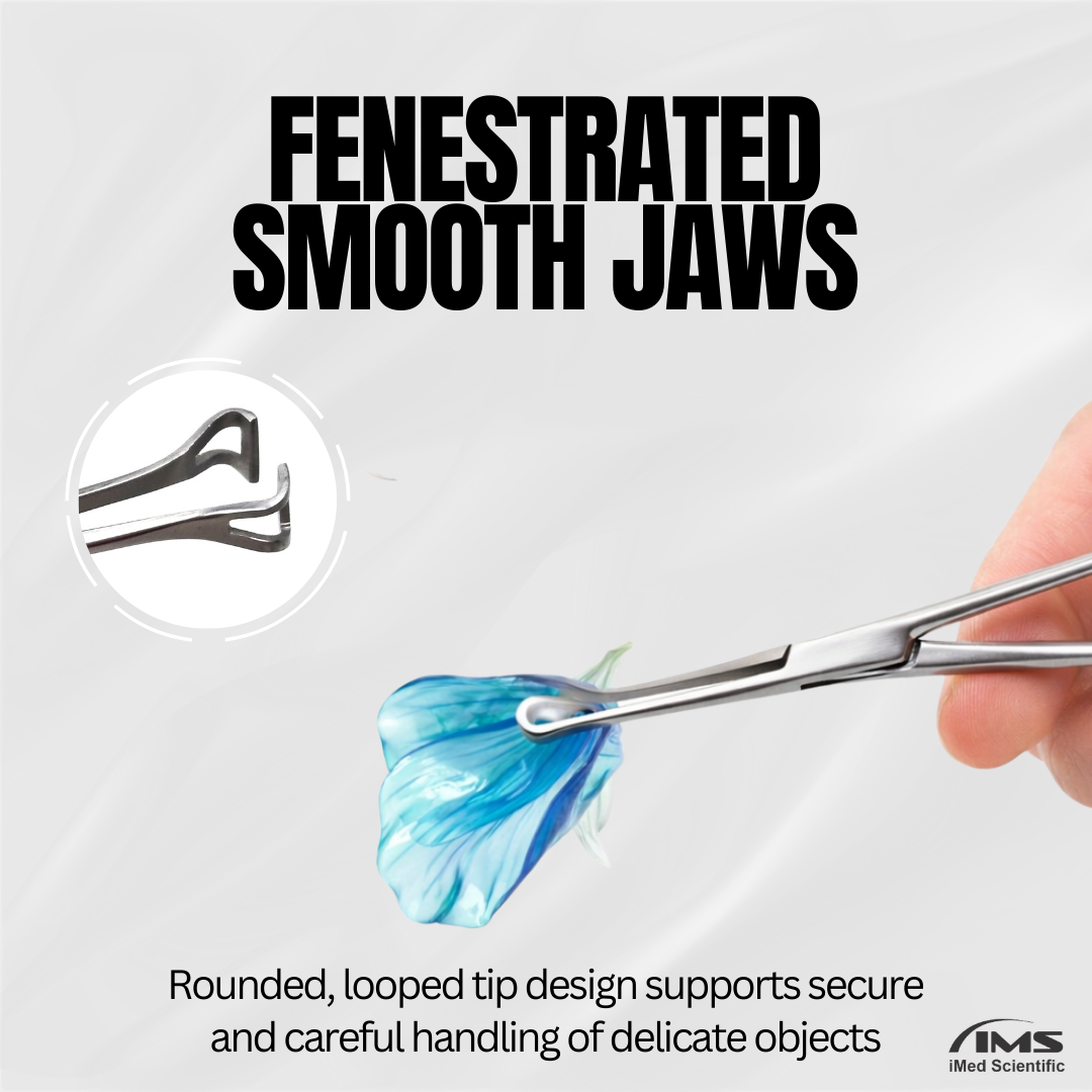 Babcock Forceps with Rounded Loop Windowed Jaws and Ratchet Lock 6.25"