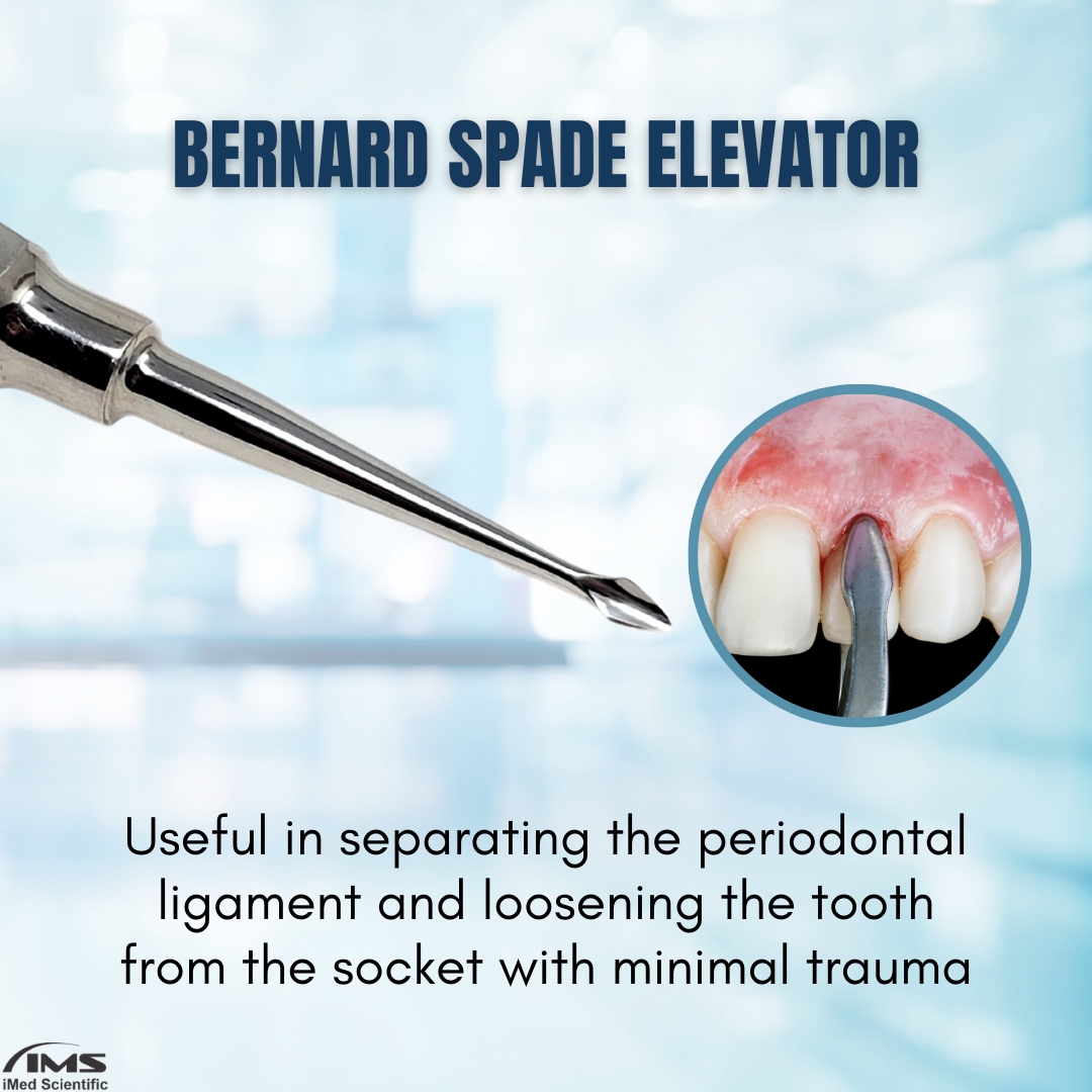 BERNARD ROOT TIP STRAIGHT SPADE ELEVATOR ELE-0060, Stainless Steel