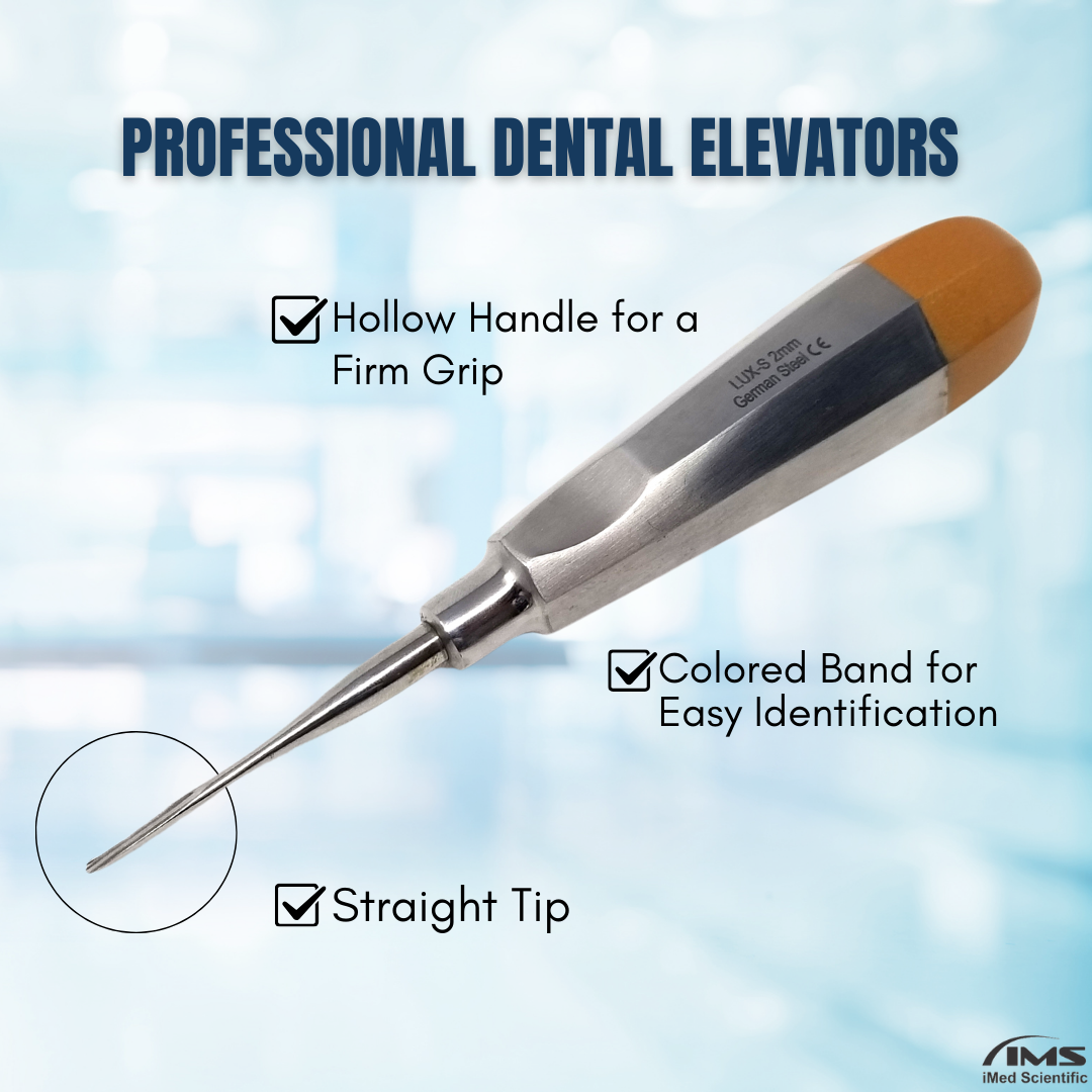 Dental Luxating Elevator Straight 2mm, Gold Handle, Stainless Steel