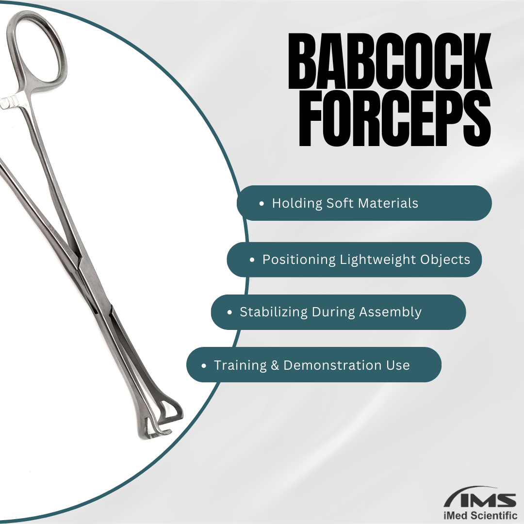 Babcock Forceps with Rounded Loop Windowed Jaws and Ratchet Lock 6.25"