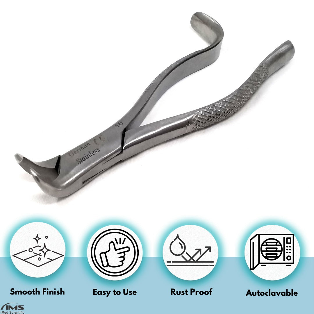 Dental Extracting Forceps #16 with Cow Horn Beaks, Stainless Steel