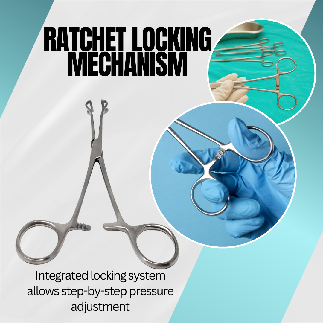 Babcock Forceps with Rounded Loop Windowed Jaws and Ratchet Lock 6.25"