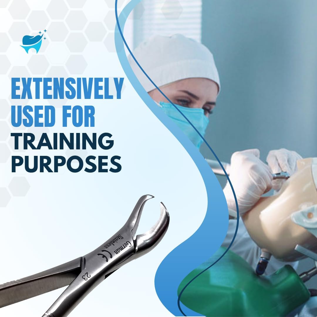 Dental Extracting Forceps #23 with Cow Horn Beaks, Stainless Steel