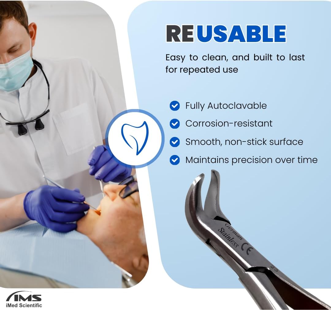 Dental Extracting Forceps #23 with Cow Horn Beaks, Stainless Steel