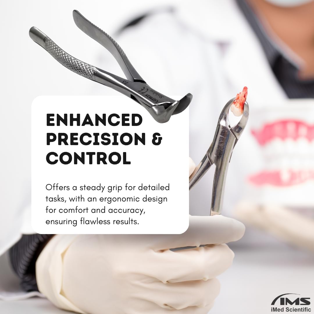 Dental Extracting Forceps #23 with Cow Horn Beaks, Stainless Steel