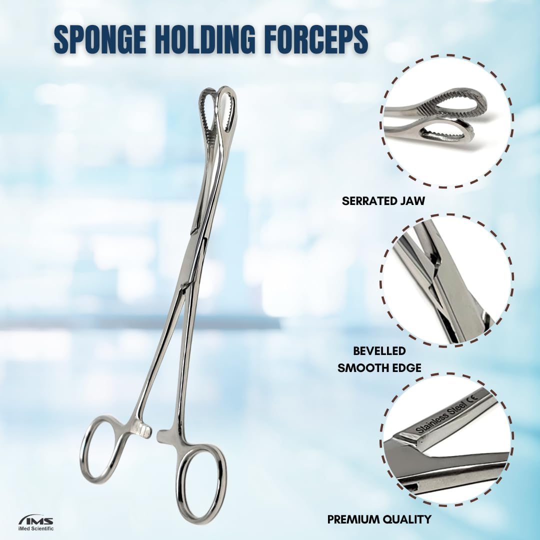 Sponge Holding Forceps 7" Curved, Stainless Steel