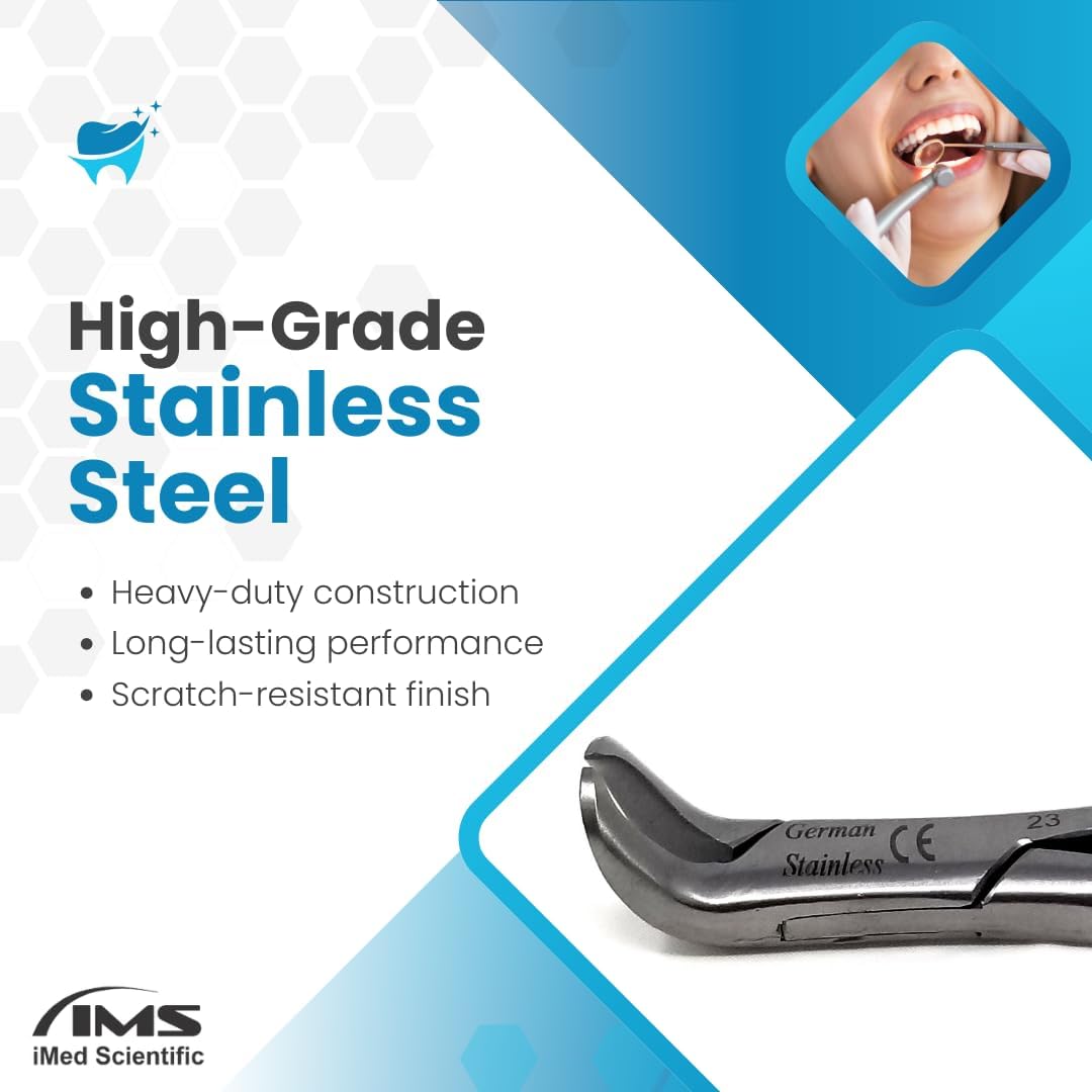 Dental Extracting Forceps #23 with Cow Horn Beaks, Stainless Steel