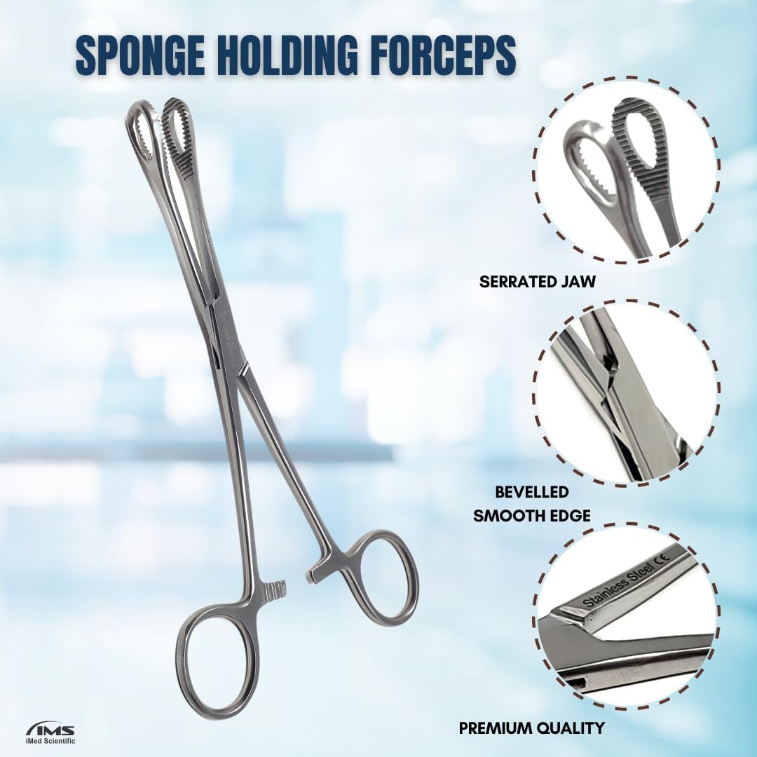 Sponge Holding Forceps 7" Straight, Stainless Steel
