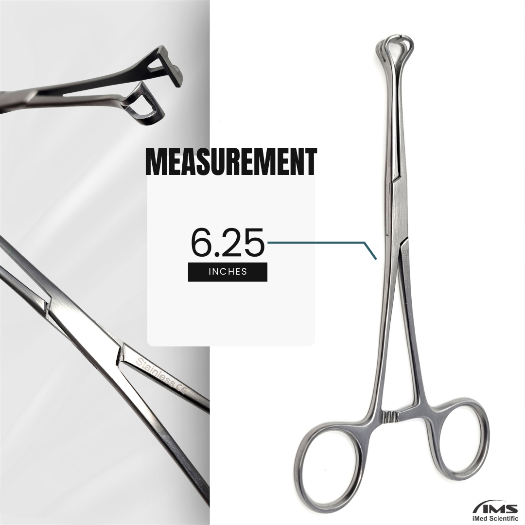 Babcock Forceps with Rounded Loop Windowed Jaws and Ratchet Lock 6.25"