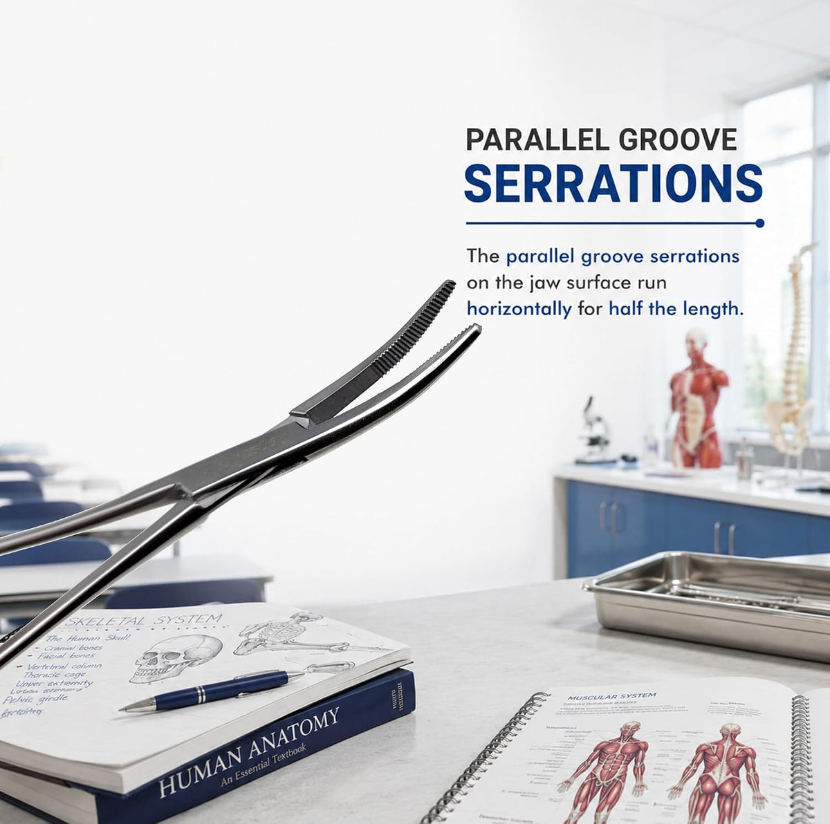 Kelly Rankin Hemostatic Forceps 5.5" Curved, Stainless Steel