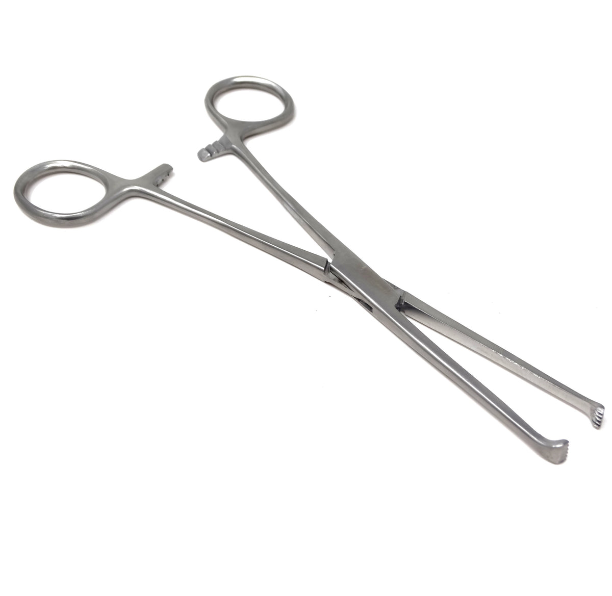 Allis Tissue Forceps 5x6 Teeth, 7" Stainless Steel Clamps