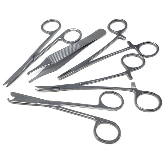 5 Pcs Dissecting Kit Stainless Steel Instruments for Biology Lab Anatomy