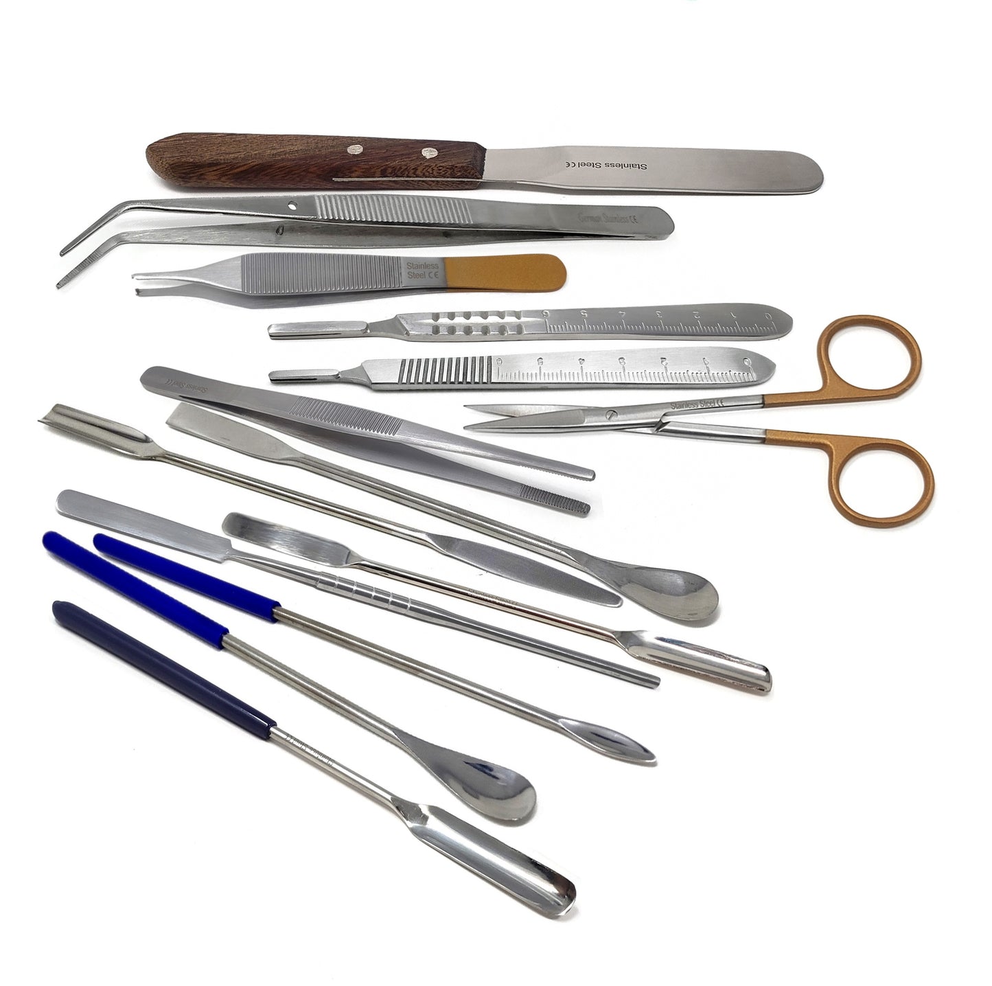 Lab Starter Kit with Stainless Spatulas, Forceps, Dissecting Scissors & Scalpels - 14 Pcs Edition