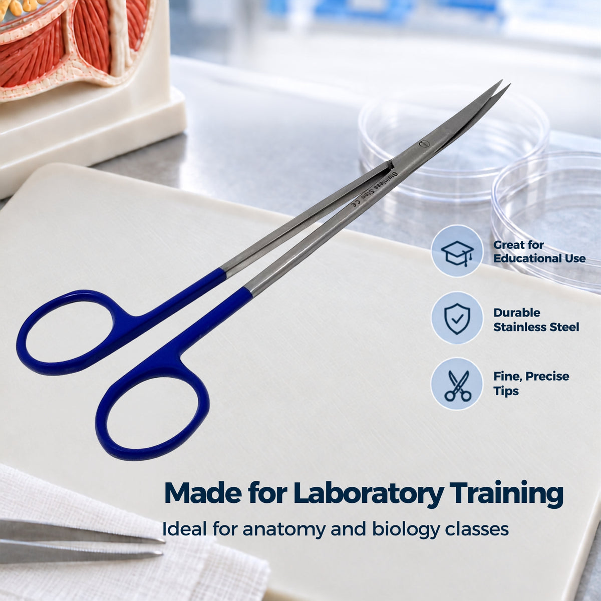 Micro IRIS Dissecting Scissors 7", Curve, Stainless Steel, Blue Handle