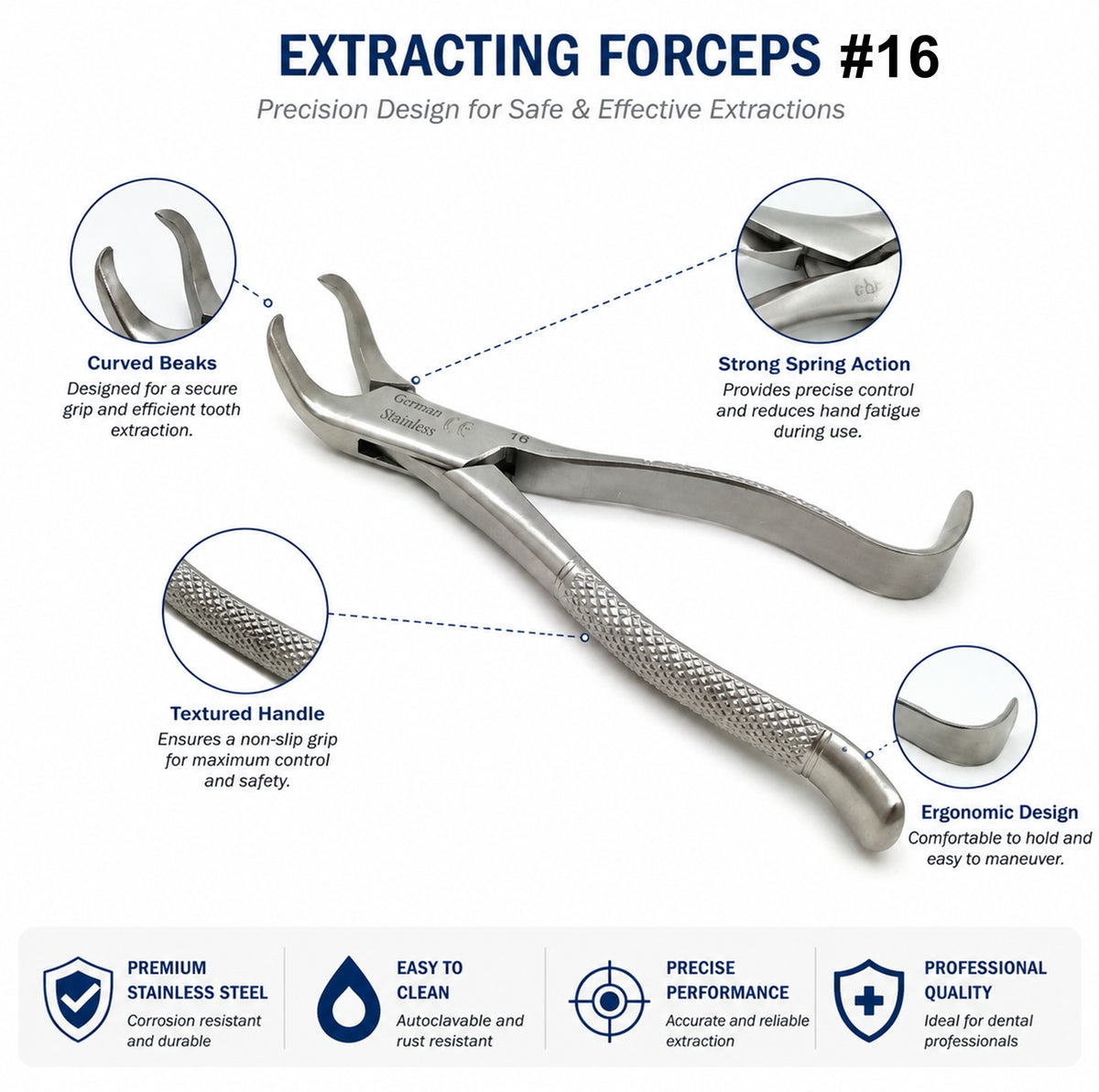 Dental Extracting Forceps #16 with Cow Horn Beaks, Stainless Steel