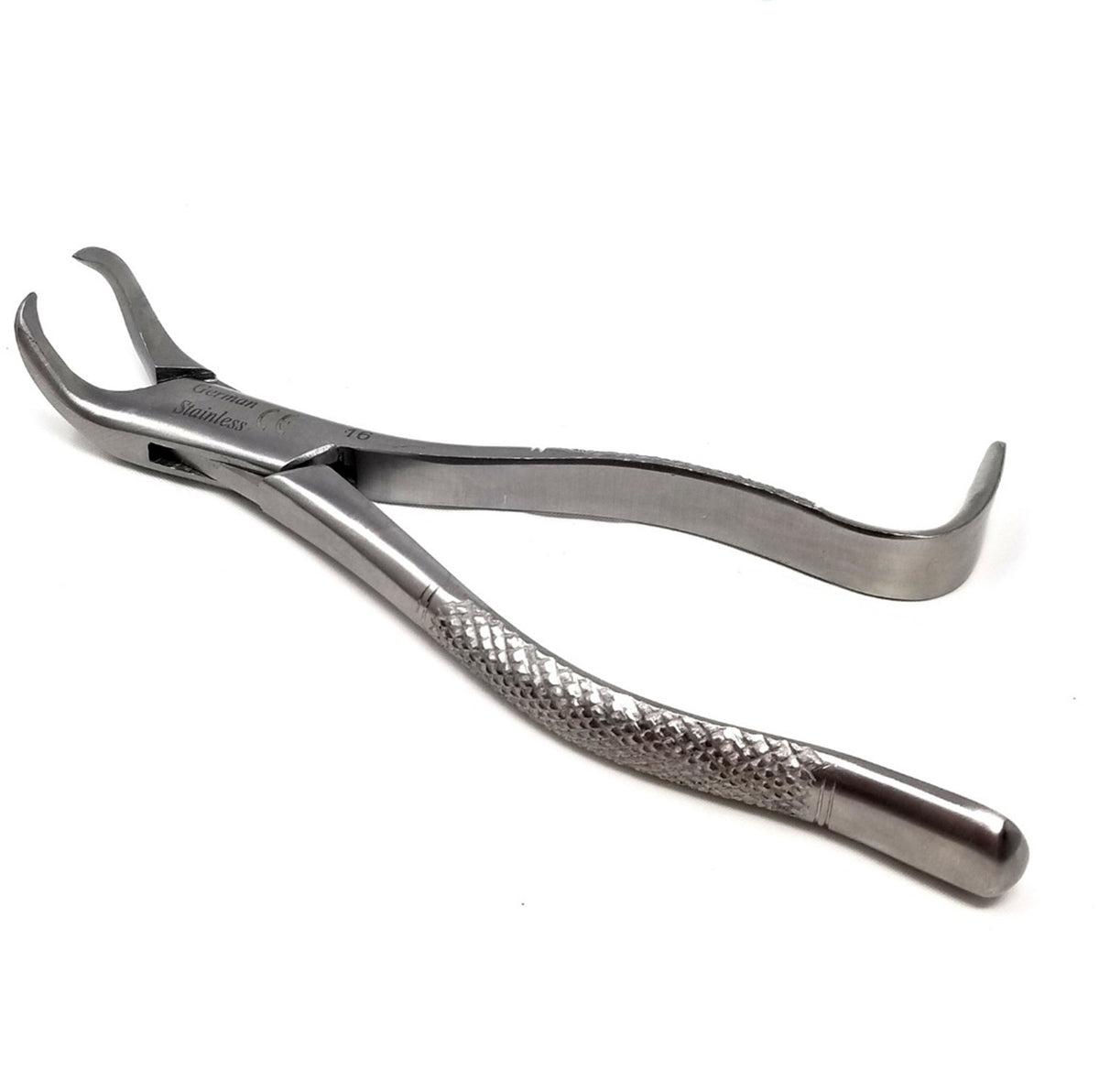 Dental Extracting Forceps #16 with Cow Horn Beaks, Stainless Steel