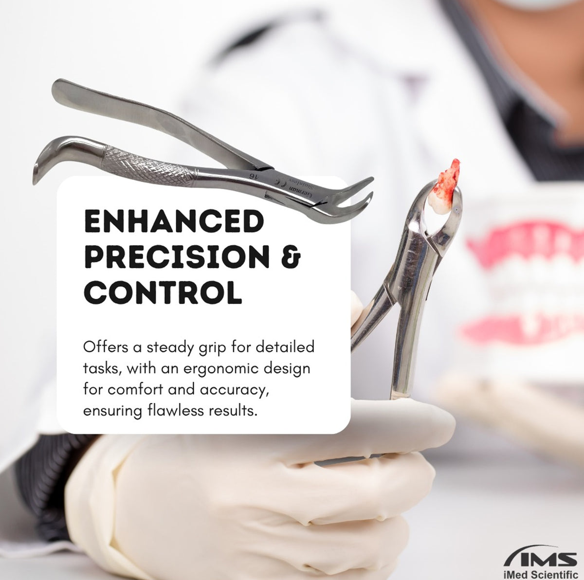 Dental Extracting Forceps #16 with Cow Horn Beaks, Stainless Steel