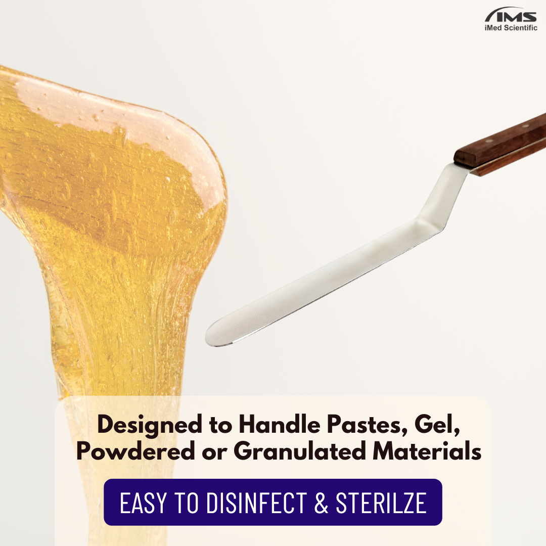 Stainless Steel Lab Spatula with Wooden Handle, 6" Offset Bayonet Blade, 10" Total Length