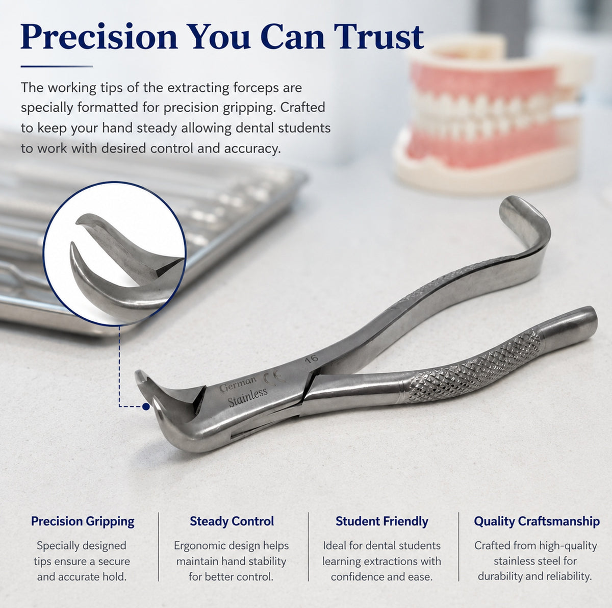 Dental Extracting Forceps #16 with Cow Horn Beaks, Stainless Steel