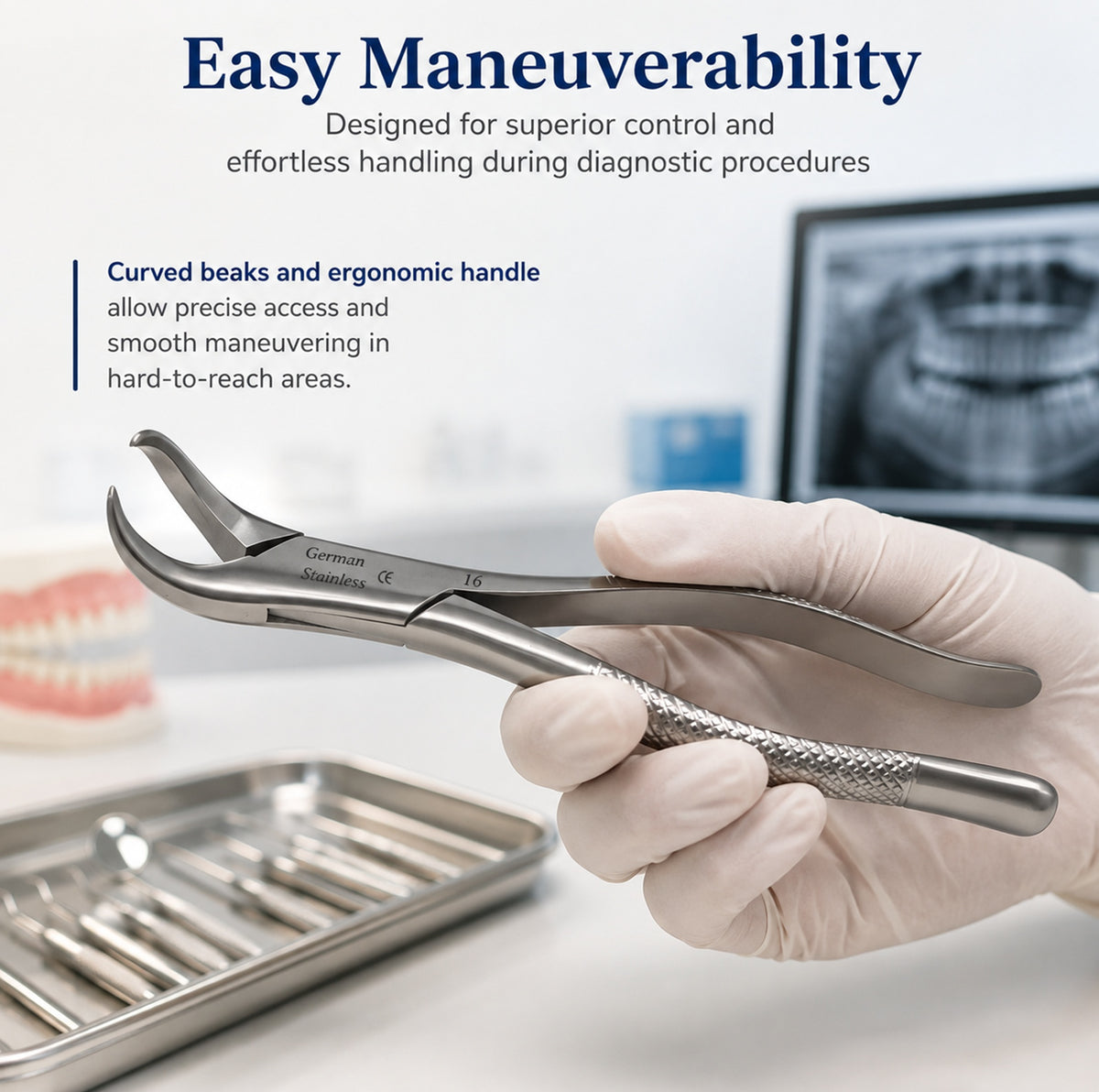 Dental Extracting Forceps #16 with Cow Horn Beaks, Stainless Steel