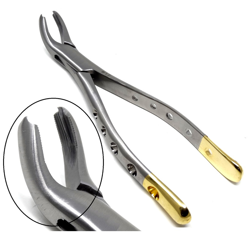 Dental Extraction Forceps #17, Gold Handle, Stainless Steel