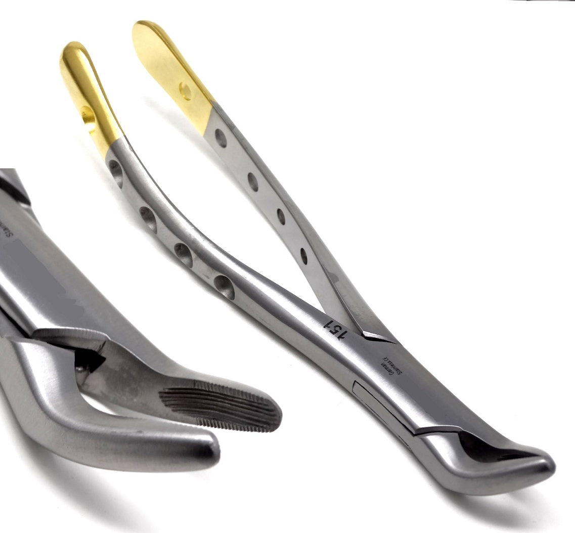 Dental Extraction Forceps #151, Gold Handle, Stainless Steel