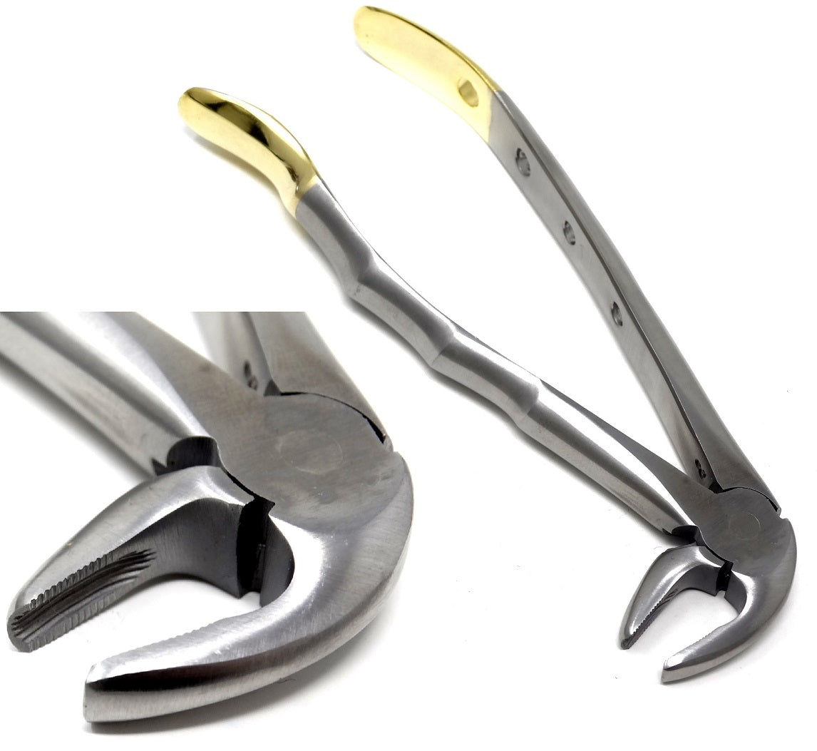 Dental Extraction Forceps MD3, Gold Handle, Stainless Steel